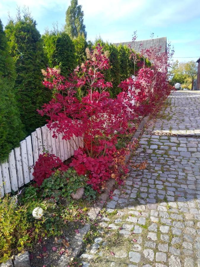 Zajazd Eljan-Centrum Noclegowe Olštýn Exteriér fotografie